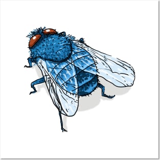 Bugs-10 Blue Fly Posters and Art